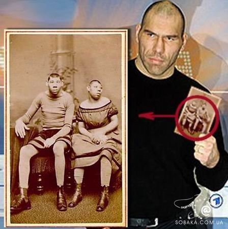 11_20081221015216_valuev.jpg