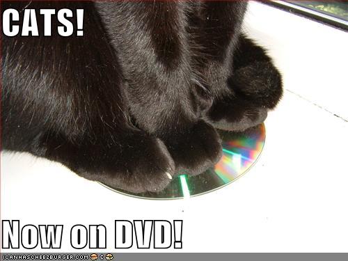 15_20081026020303_funny-pictures-cats-are-now-on-dvd.jpg