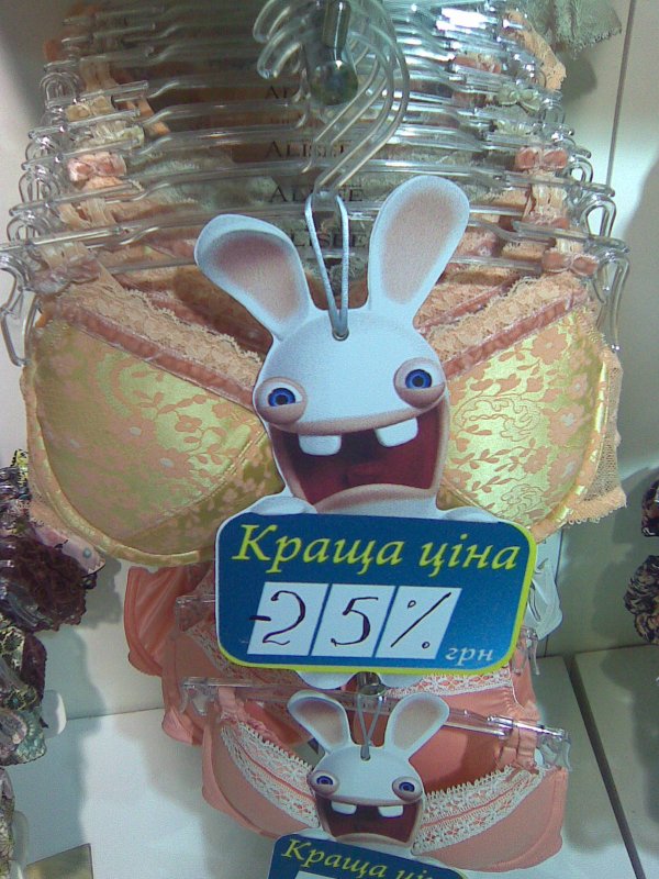 2_20090730165818_rabbid-priced_bra.jpg