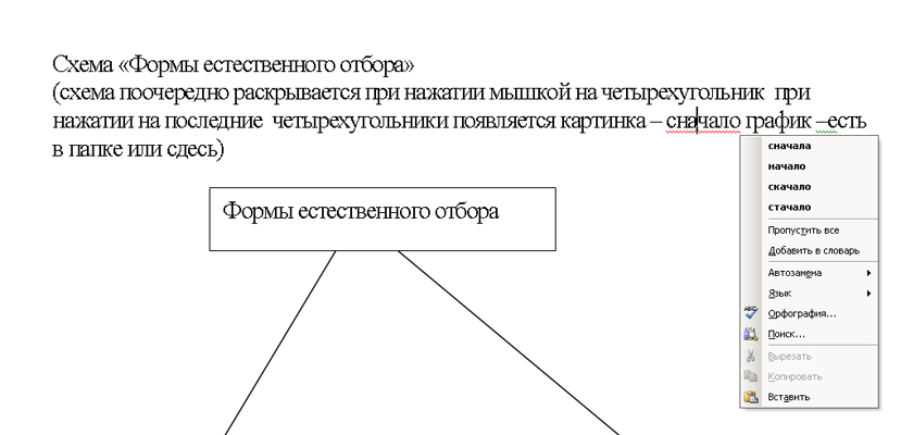 579_20070830161342_bu-ga-ga.jpg