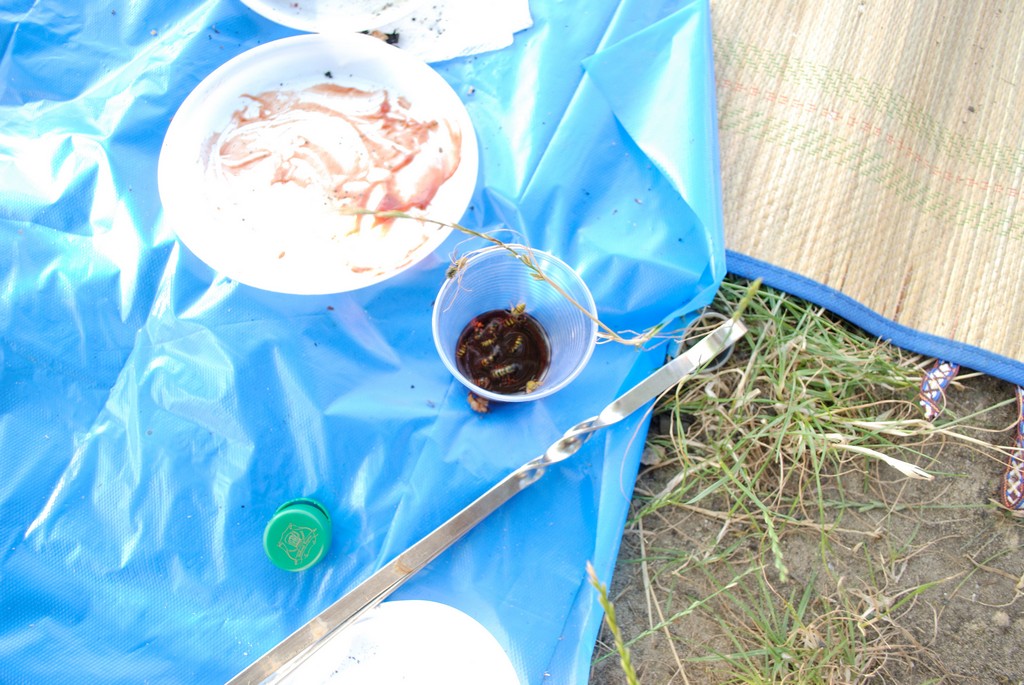 5_20100803151034__DSC0125.jpg