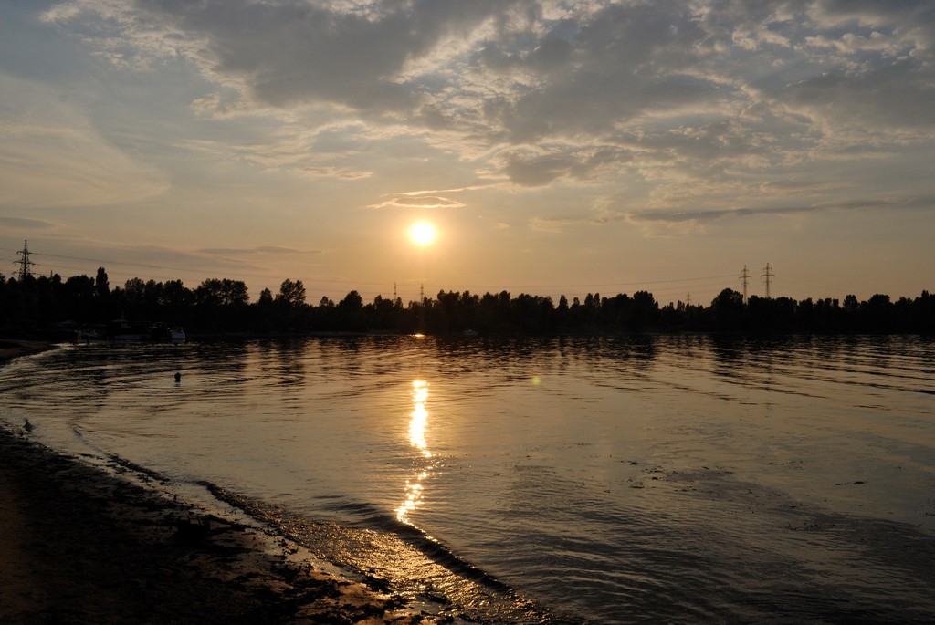 5_20100803151220__DSC0173.jpg