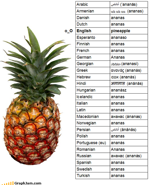 5_20110511120208_funny-graphs-ananas.png